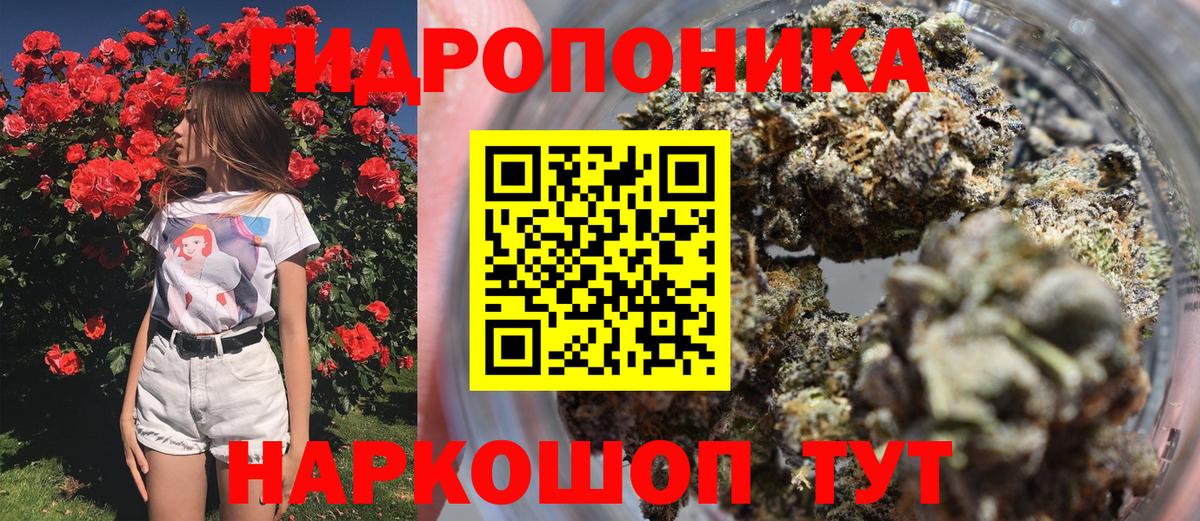 Каннабис MAZAR Десногорск